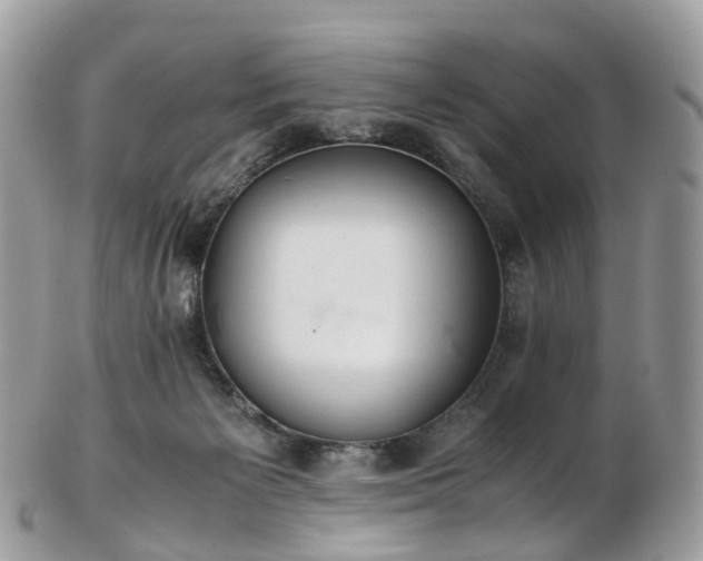 X0000102840125200808251204