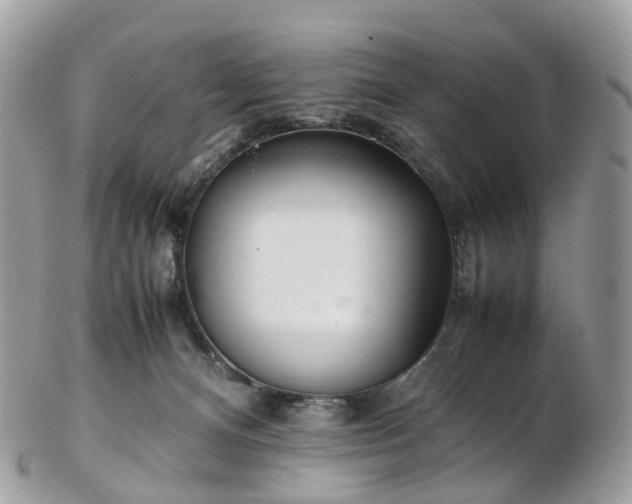 X0000102840128200808251204