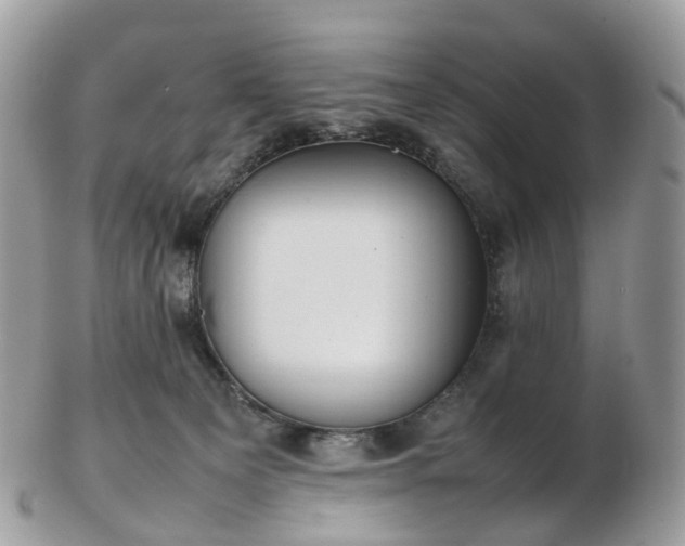 X0000102840129200808251204