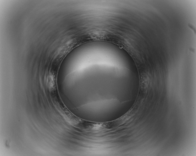 X0000102840130200808251204