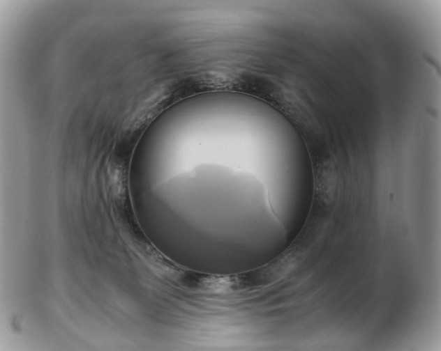 X0000102840131200808251204