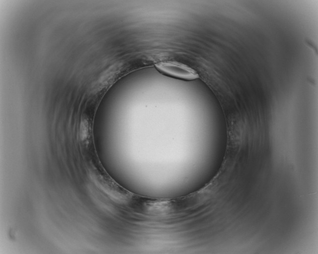 X0000102840132200808251204