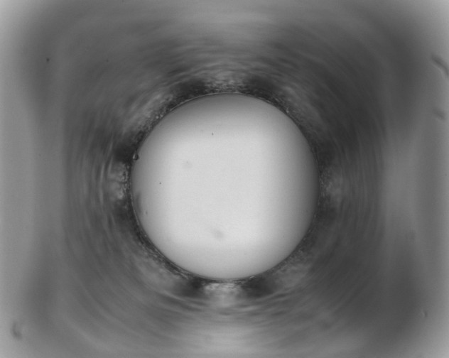 X0000102840133200808251204