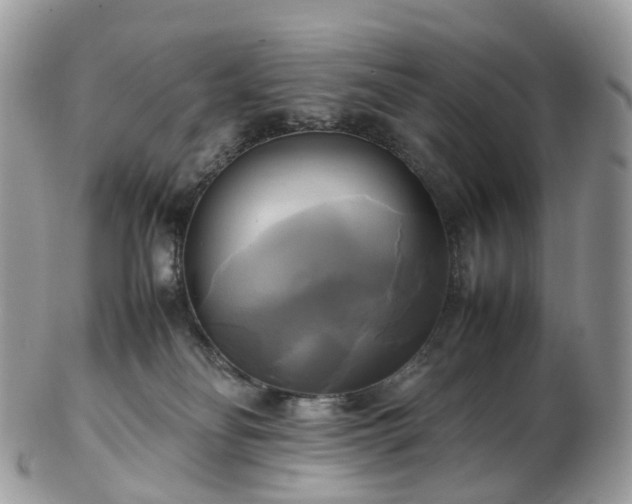 X0000102840134200808251204