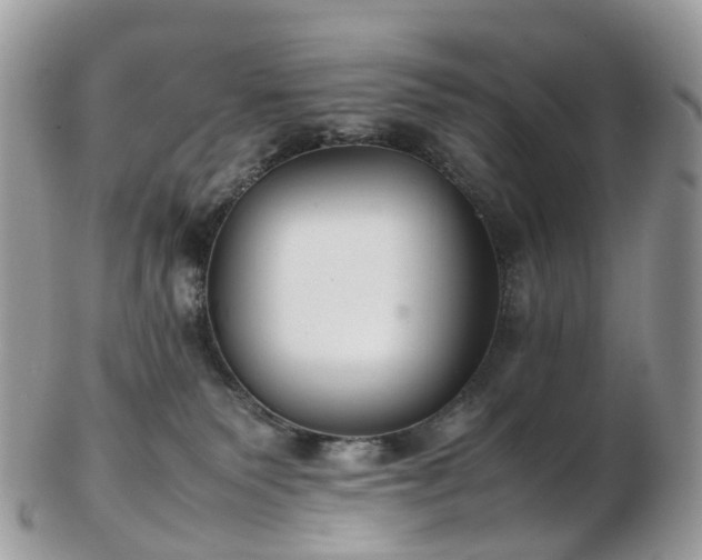 X0000102840135200808251204