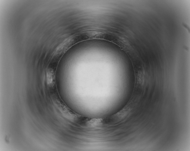 X0000102840138200808251204