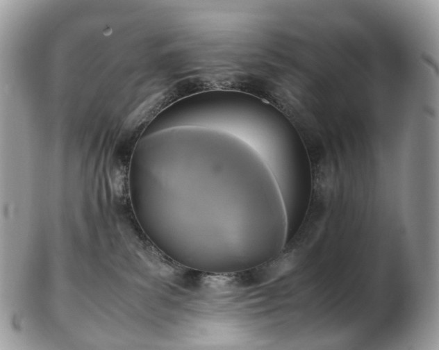 X0000102840139200808251204