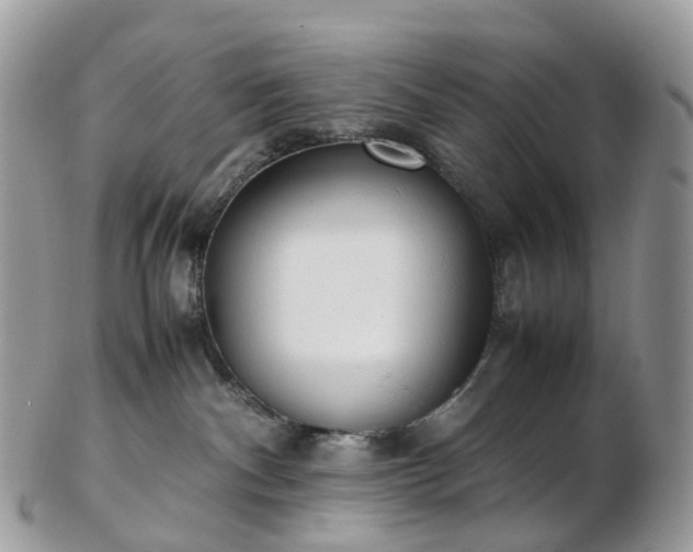 X0000102840140200808251204