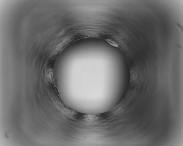 X0000102840141200808251204