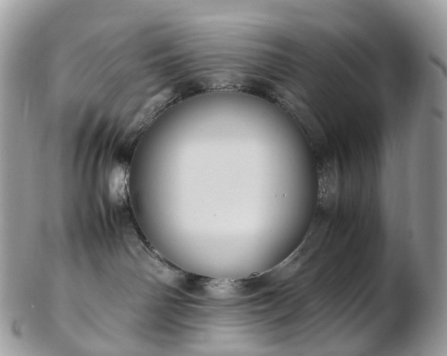 X0000102840142200808251204