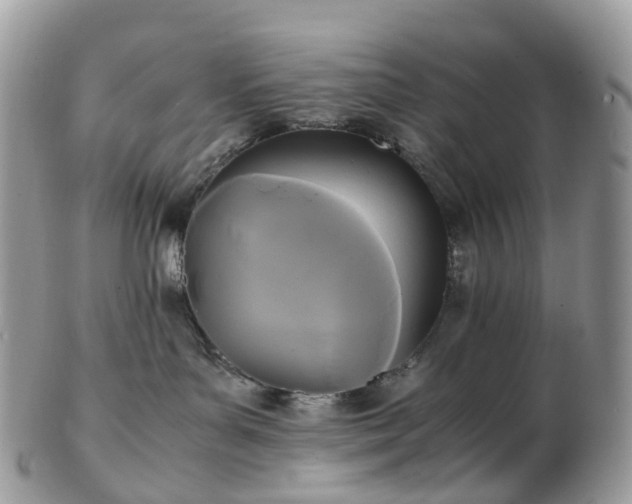 X0000102840143200808251204