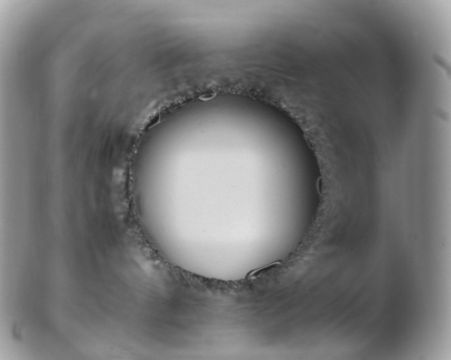 X0000102840144200808251204