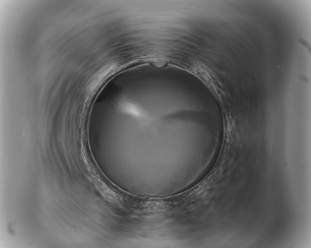 X0000102840145200808251203