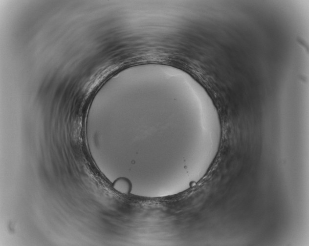 X0000102840146200808251203