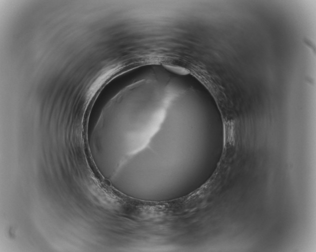 X0000102840147200808251203