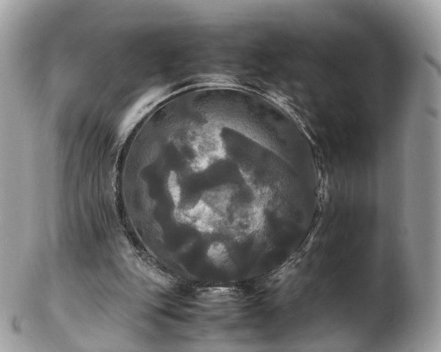 X0000102840151200808251204