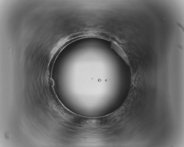 X0000102840152200808251204