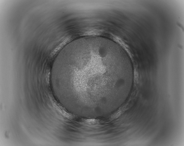 X0000102840153200808251204