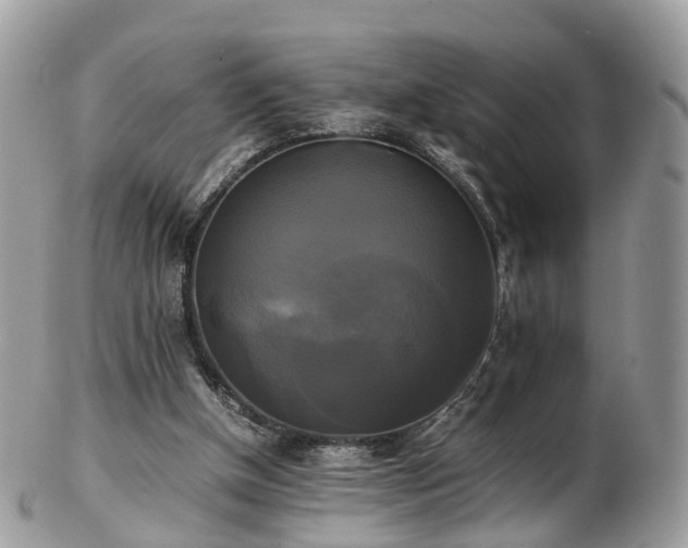 X0000102840154200808251204