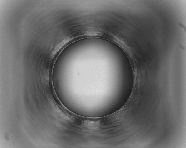 X0000102840155200808251204