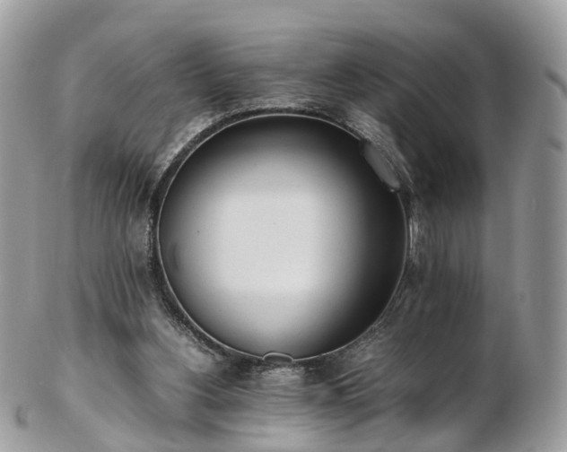 X0000102840156200808251204