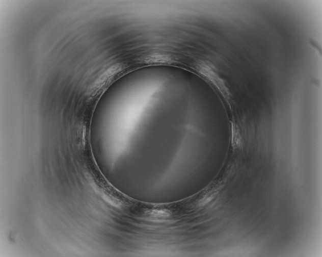 X0000102840157200808251204