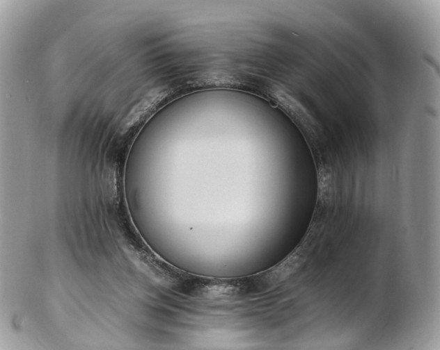 X0000102840158200808251204