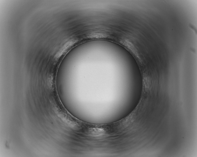 X0000102840159200808251204