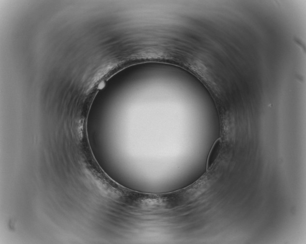 X0000102840160200808251204