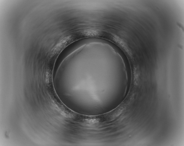 X0000102840161200808251204