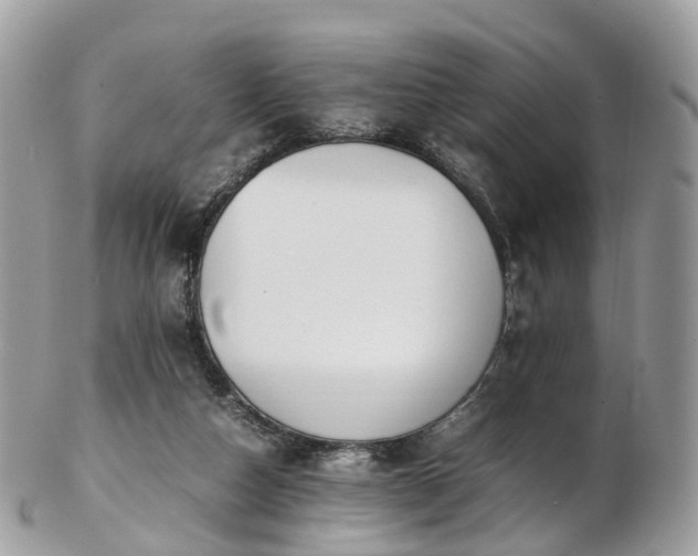 X0000102840162200808251204