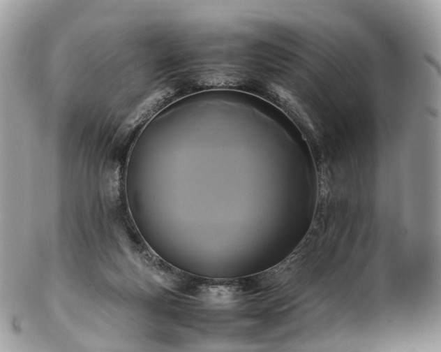 X0000102840163200808251204