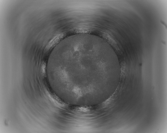 X0000102840166200808251204