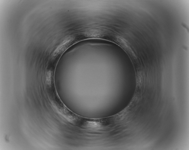 X0000102840167200808251204