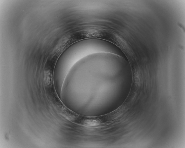 X0000102840169200808251204