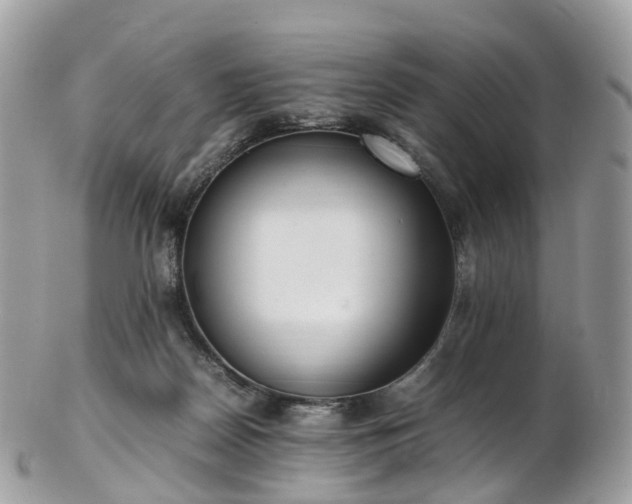 X0000102840170200808251204