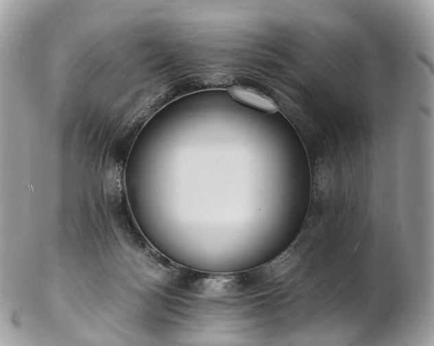 X0000102840172200808251204