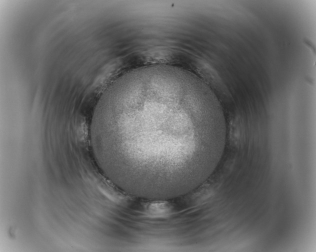 X0000102840173200808251204