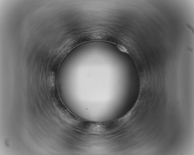 X0000102840174200808251204