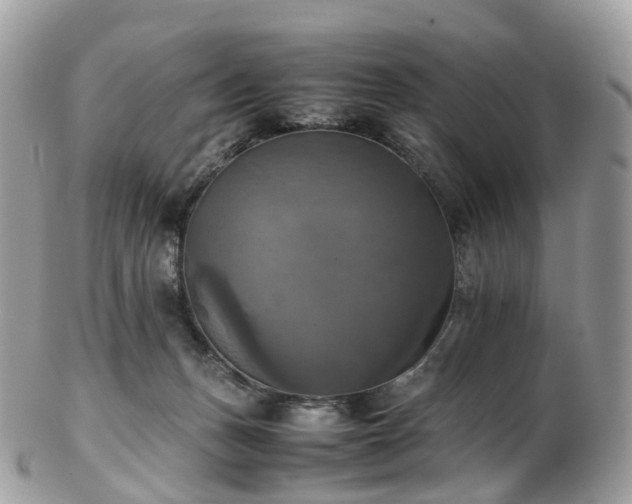 X0000102840175200808251204