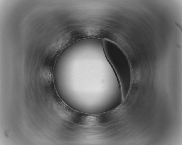 X0000102840176200808251204