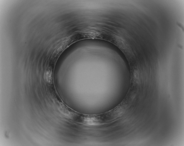 X0000102840177200808251204