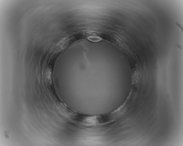 X0000102840178200808251204