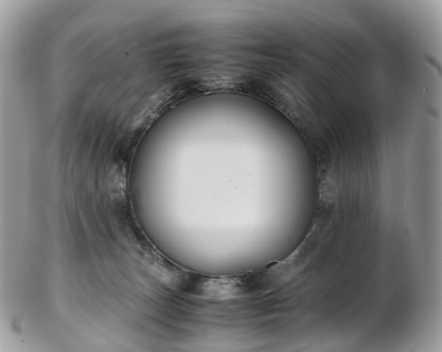 X0000102840179200808251204