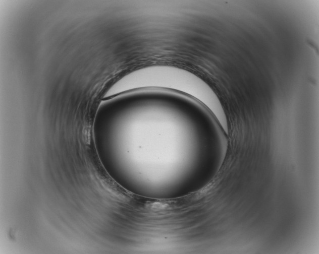 X0000102840180200808251204