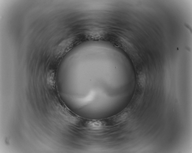 X0000102840181200808251204