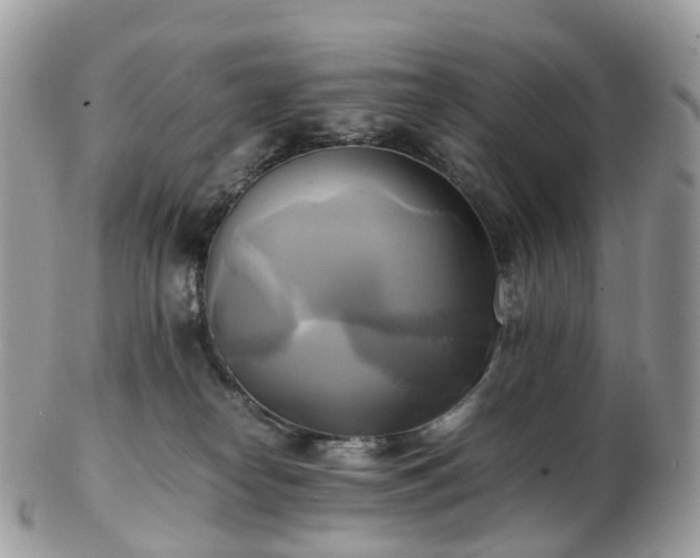 X0000102840182200808251204