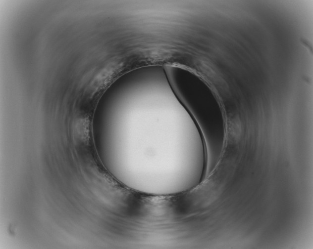 X0000102840184200808251204