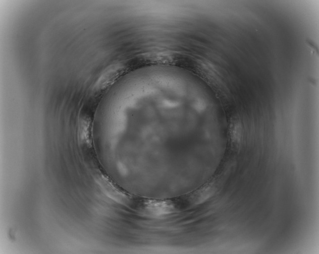 X0000102840185200808251204