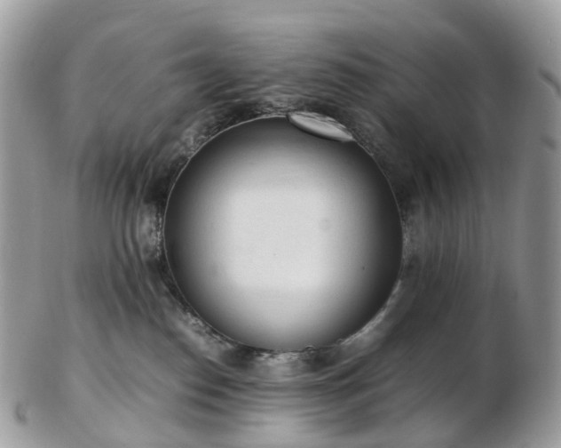 X0000102840186200808251204